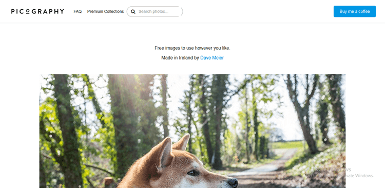 3/20+ Best Free Stock Photo Websites - Picography