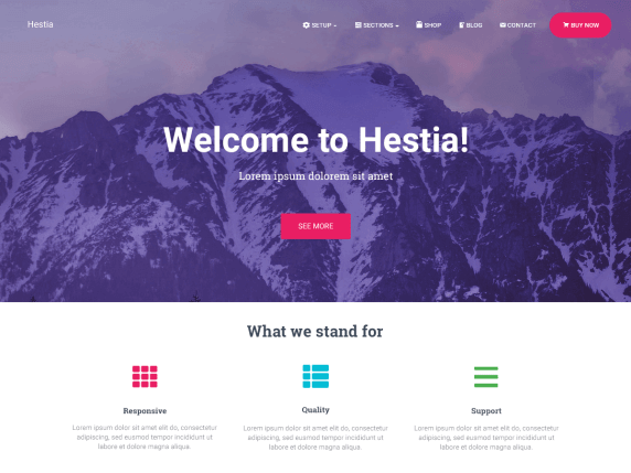 10 Best Free WordPress Themes - Hestia